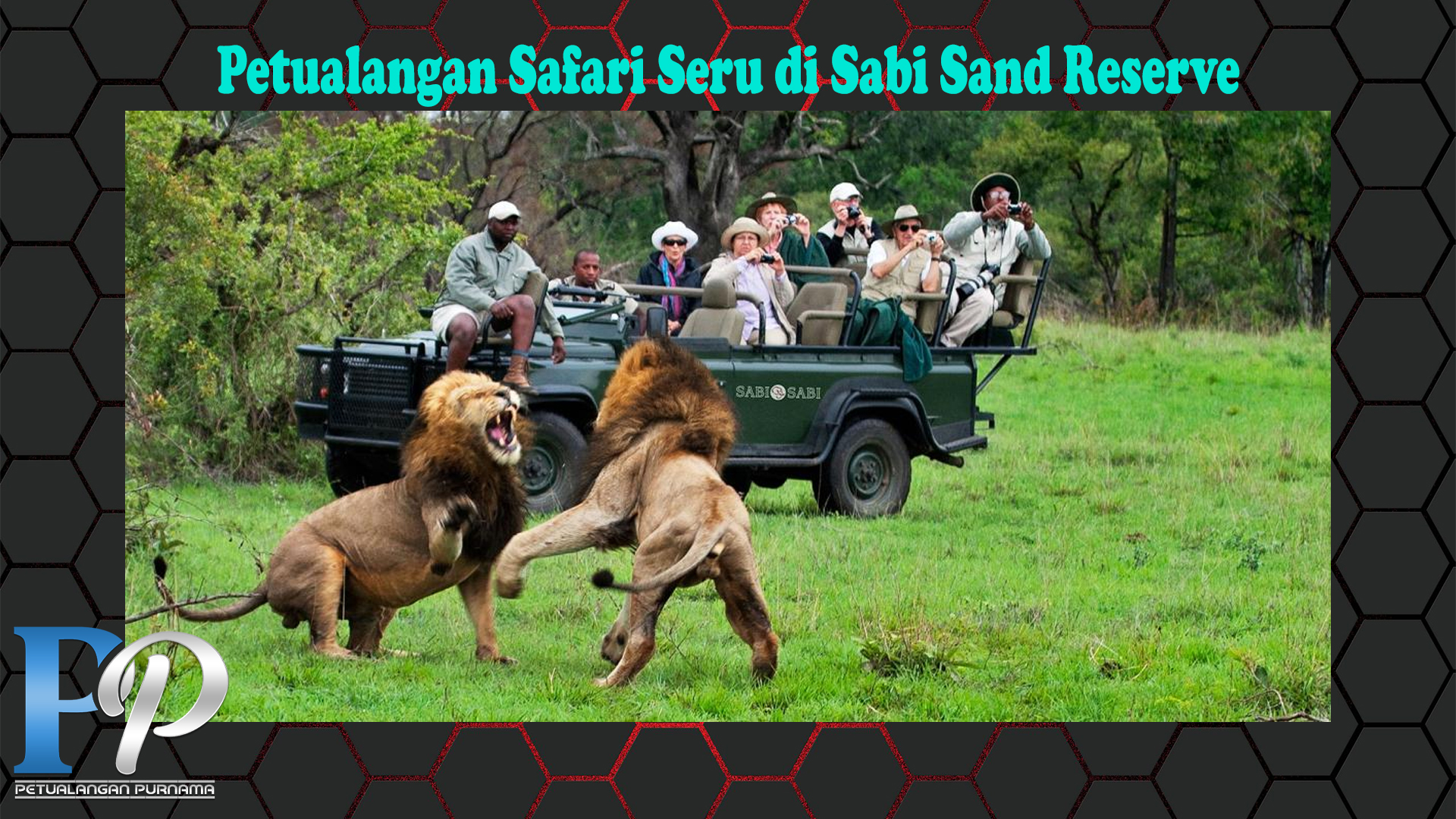 Petualangan Safari Seru di Sabi Sand Reserve